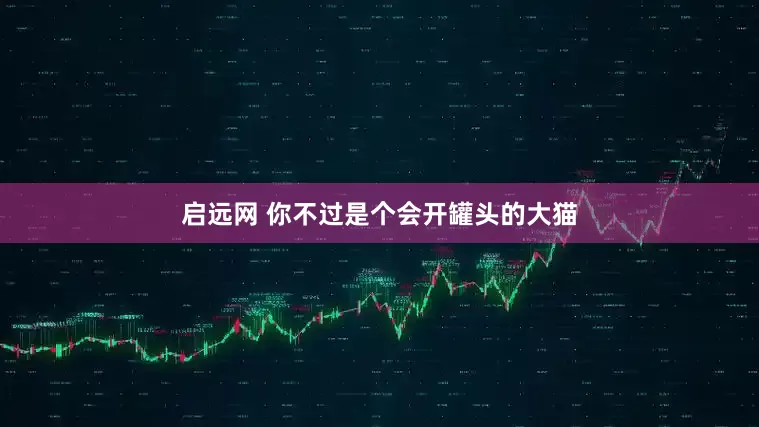 启远网 你不过是个会开罐头的大猫